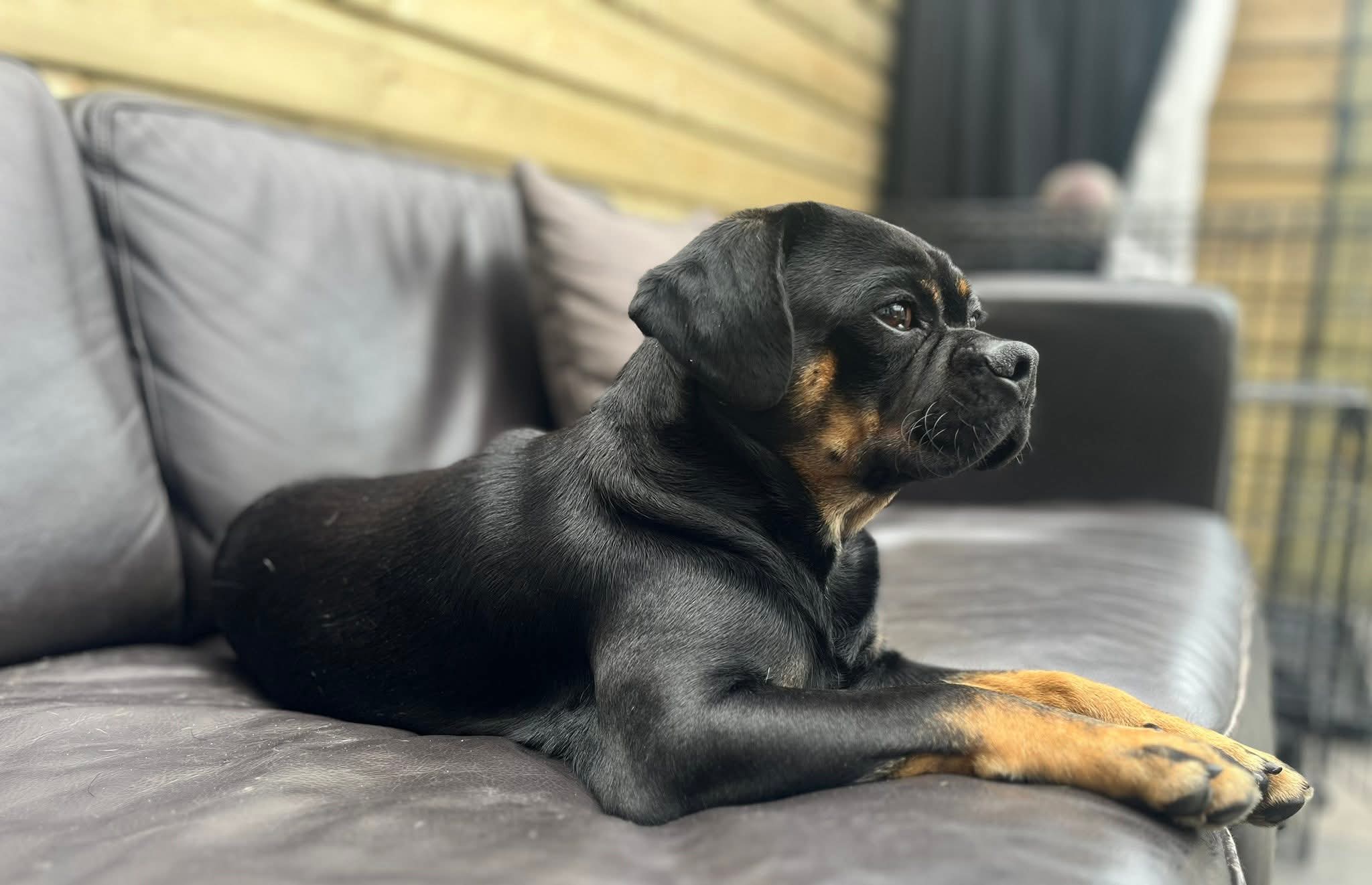 FB_IMG_1748782668699